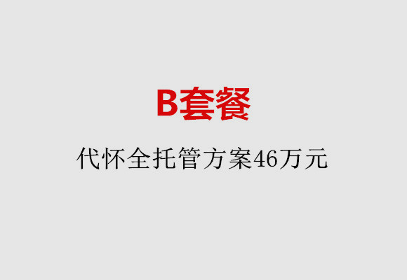 西安B套餐：代怀全托管方案46万元